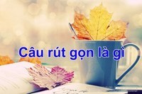 câu hoàn chỉnh - Lớp 7 - Quizizz