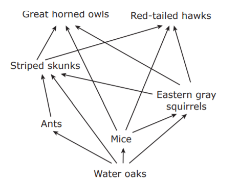 Life Science - Food Webs | 517 plays | Quizizz