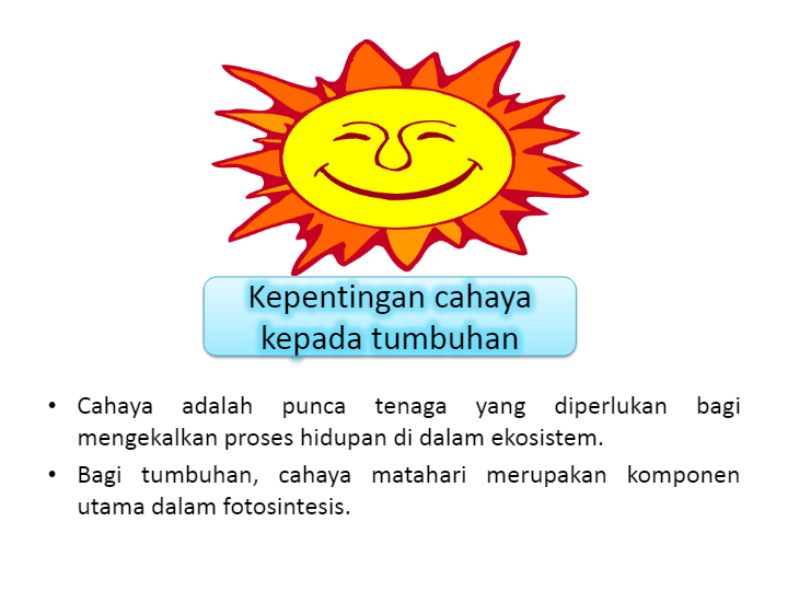 Bdr Sains Awal 25 November 2020 Science Quizizz