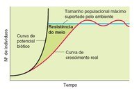 ecologia - Série 12 - Questionário