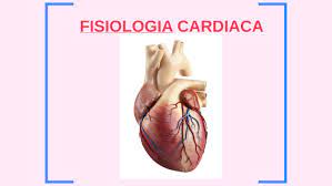 eletrocardiograma Flashcards - Questionário