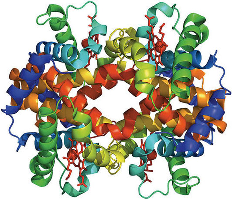 Macromolecules