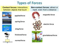 Contact And Non contact Forces Science Quizizz