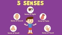 The 5 Senses - Class 1 - Quizizz