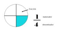 Dividir fracciones - Grado 2 - Quizizz