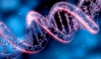 mutação genética - Série 10 - Questionário