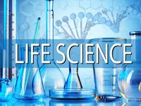 Life Science Review Environment Quiz Quizizz