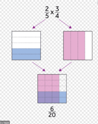 Multiplying Fractions - Grade 7 - Quizizz