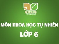 quang học hình học - Lớp 6 - Quizizz