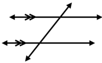 transversal of parallel lines - Year 11 - Quizizz