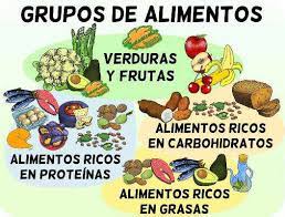 Alimento - Grado 7 - Quizizz