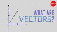 vectors - Class 12 - Quizizz