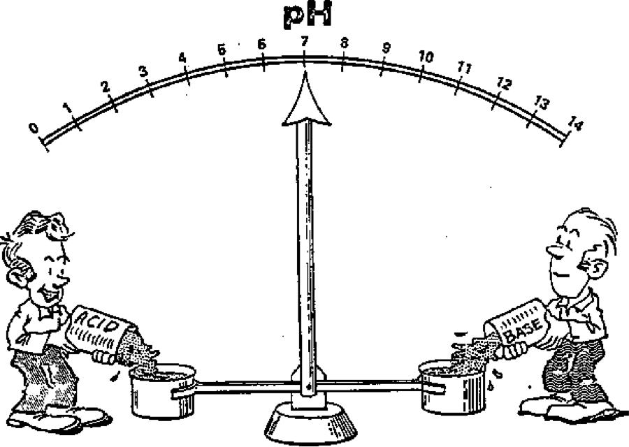 ap-chemistry-acid-base-equilibria-quizizz