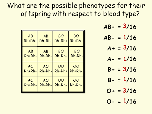 ABO/Rh Blood Type And Genetics | Quizizz
