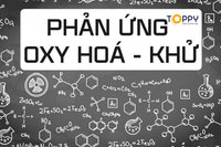 phản ứng oxi hóa khử và điện hóa - Lớp 10 - Quizizz