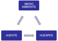 ecología - Grado 12 - Quizizz