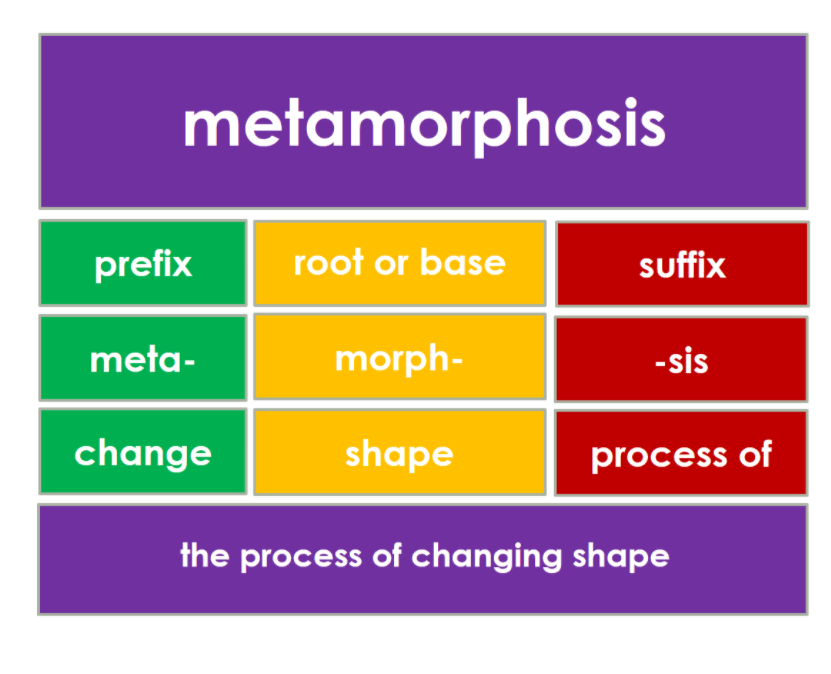 prefixes-suffixes-and-root-words-635-plays-quizizz