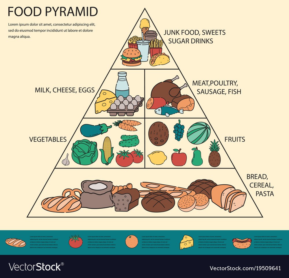 Food Pyramid | General Health Quiz - Quizizz