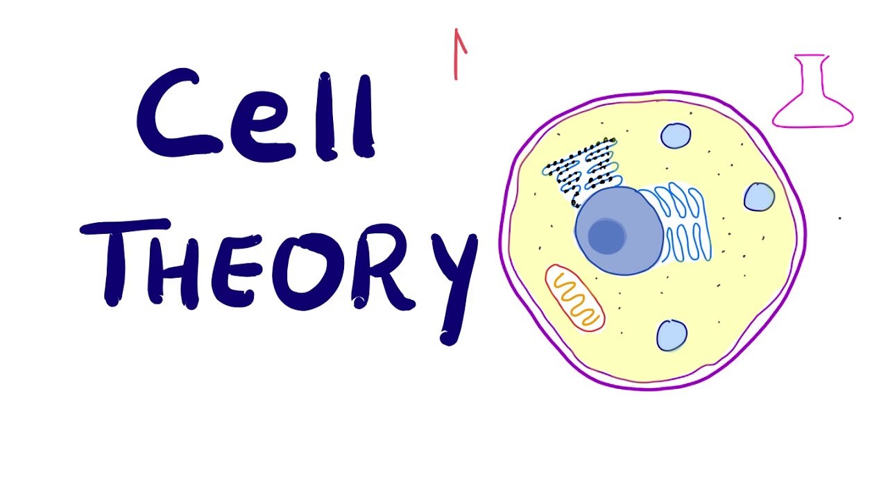 The Cell Vocab