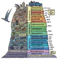 historia de la vida en la tierra - Grado 7 - Quizizz