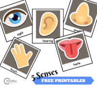 The 5 Senses - Year 4 - Quizizz