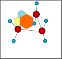 đại phân tử - Lớp 11 - Quizizz