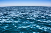 movements of ocean water Flashcards - Quizizz