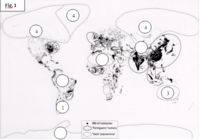 países da Ásia - Série 8 - Questionário