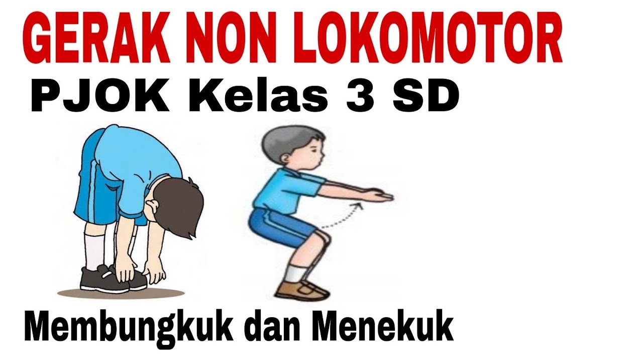 variasi genetik - Kelas 3 - Kuis