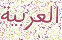 Arabic - Grade 7 - Quizizz