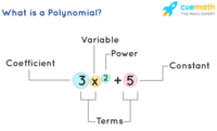 Monomial by Polynomials