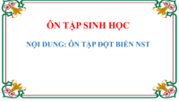 Sinh vật học - Lớp 1 - Quizizz