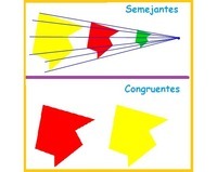 Figuras congruentes - Grado 9 - Quizizz