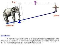 newtons first law mass and inertia - Class 8 - Quizizz