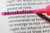 metabolism - Grade 11 - Quizizz