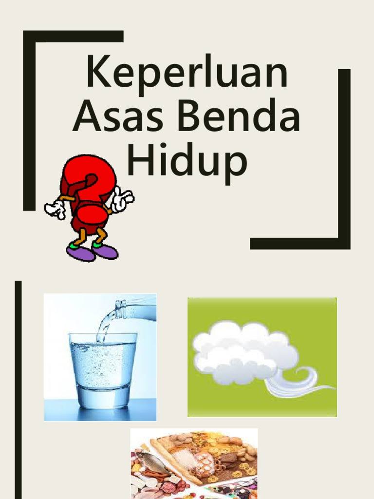 SAINS TAHUN 1 - KEPERLUAN ASAS BENDA HIDUP Quiz - Quizizz