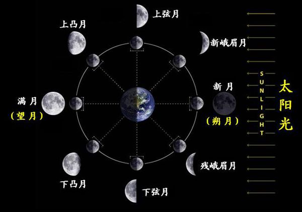 五年级科学 月相 1 Science Quizizz