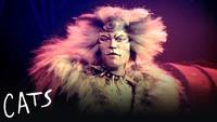 The Rum Tum Tugger- Poem