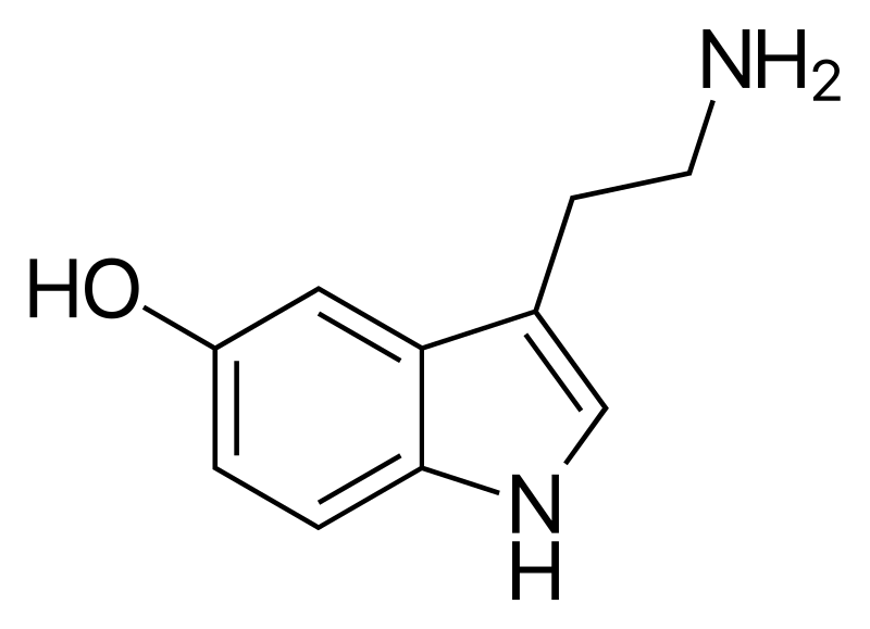 alkanes cycloalkanes and functional groups - Year 10 - Quizizz