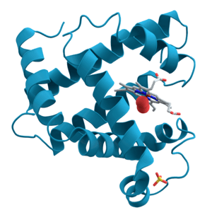 synteza rna i białek - Klasa 11 - Quiz