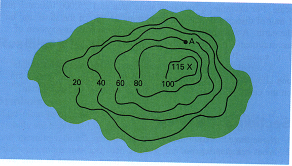 Topo Maps Science Quizizz 0045