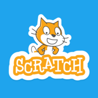 Scratch Flashcards - Quizizz