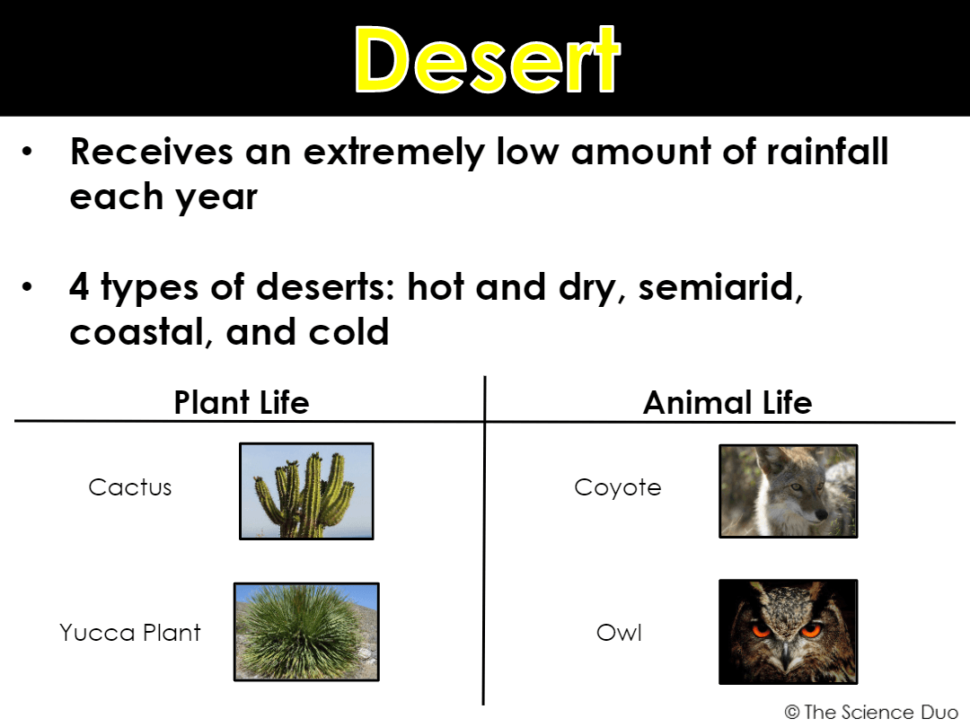 Biomes Questions & Answers For Quizzes And Tests - Quizizz