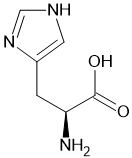 Amino Acids - Class 5 - Quizizz