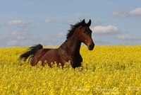 Koniec ze znakami interpunkcyjnymi - Klasa 3 - Quiz