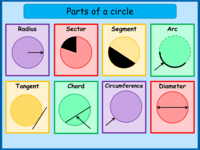area and circumference of circles - Year 4 - Quizizz