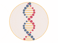 regulação genética - Série 11 - Questionário