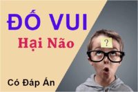 Động não - Lớp 12 - Quizizz