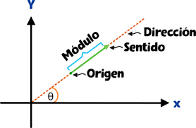 vectores - Grado 10 - Quizizz