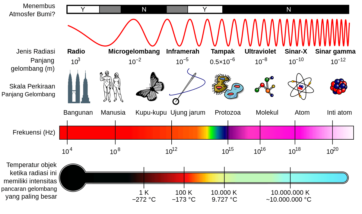 gelombang elektromagnetik dan interferensi - Kelas 9 - Kuis